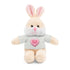 Personalized Candy Heart Stuffed Animal with Tee