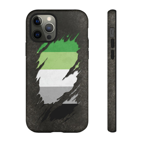 Aromantic Pride Flag Ripped Reveal Tough Case