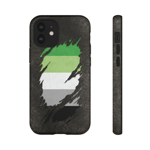 Aromantic Pride Flag Ripped Reveal Tough Case