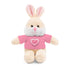 Personalized Candy Heart Stuffed Animal with Tee