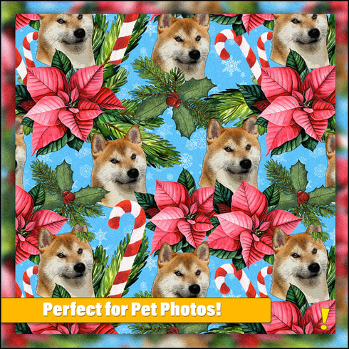 Custom Holiday Poinsettia Velveteen Plush Blanket