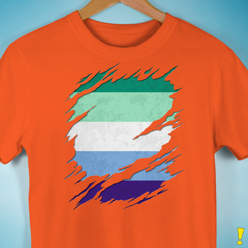 Gay Male Pride Flag Ripped Reveal Premium Unisex T-Shirt