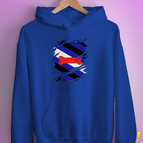 Puppy Pride Flag Ripped Reveal Hoodie