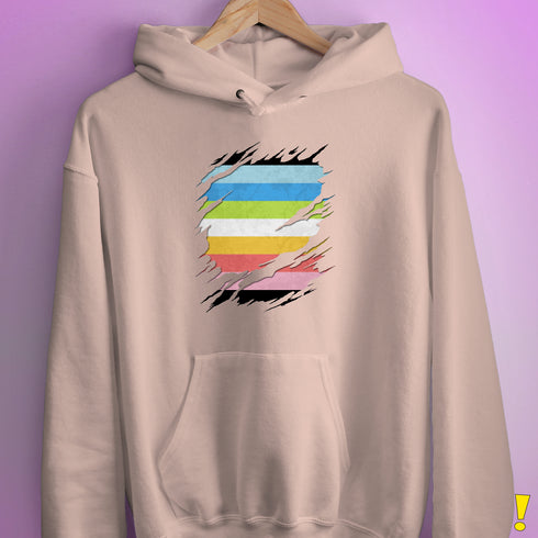 Queer Pride Flag Ripped Reveal Hoodie