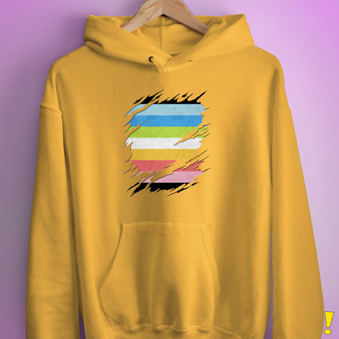 Queer Pride Flag Ripped Reveal Hoodie