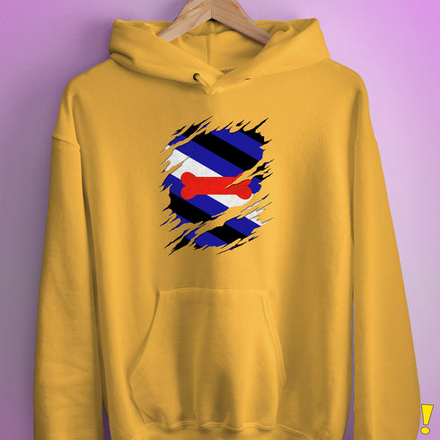 Puppy Pride Flag Ripped Reveal Hoodie