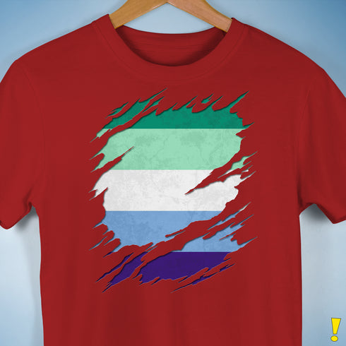 Gay Male Pride Flag Ripped Reveal Premium Unisex T-Shirt