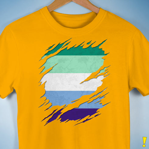 Gay Male Pride Flag Ripped Reveal Premium Unisex T-Shirt