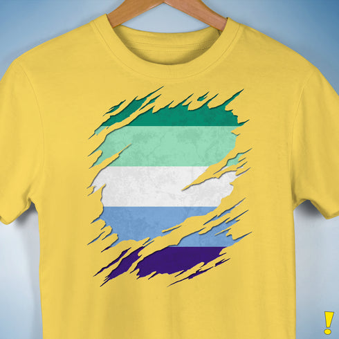 Gay Male Pride Flag Ripped Reveal Premium Unisex T-Shirt
