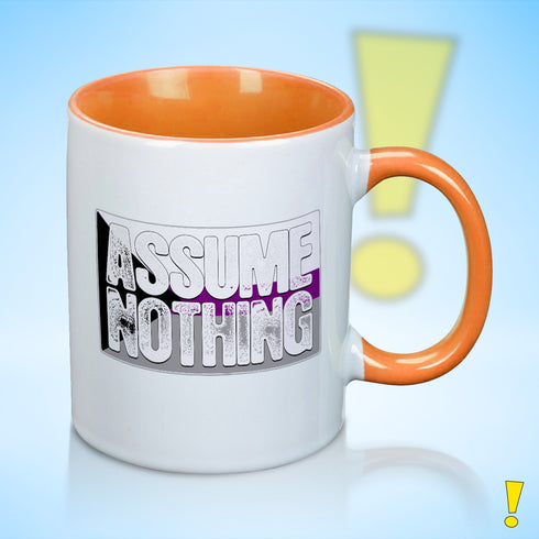 Assume Nothing Demisexual Pride Flag Color Accent Mug