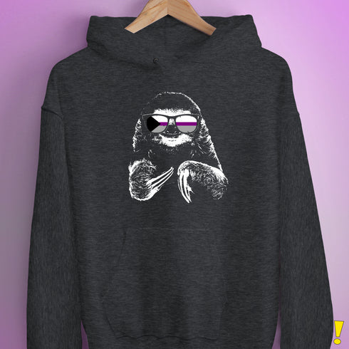 Pride Sloth Demisexual Pride Flag Sunglasses Hoodie - Dark Grey Heather