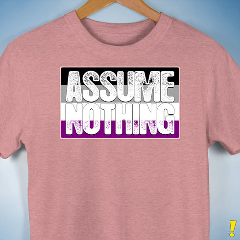 Assume Nothing Asexual Pride Flag Premium Unisex T-Shirt - Mauve Heather