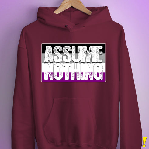 Assume Nothing Asexual Pride Flag Hoodie - Maroon