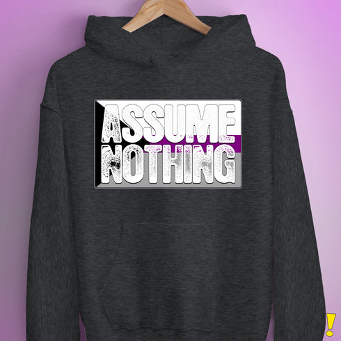 Assume Nothing Demisexual Pride Flag Hoodie - Dark Grey Heather