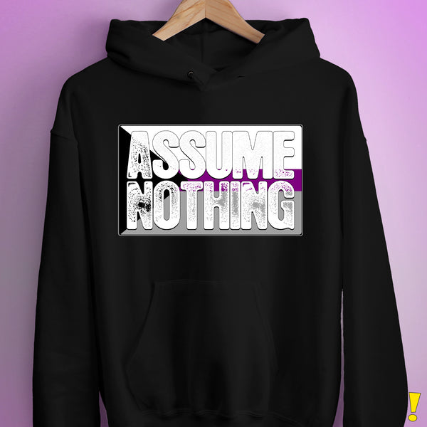 Assume Nothing Demisexual Pride Flag Hoodie - Black
