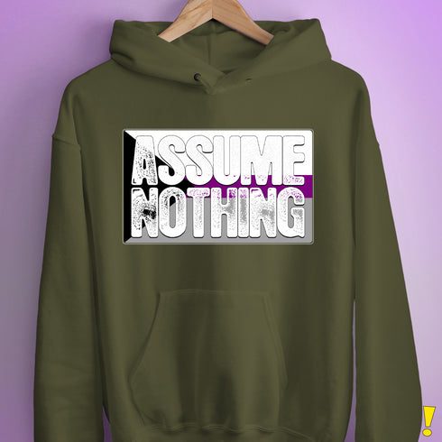 Assume Nothing Demisexual Pride Flag Hoodie - Army