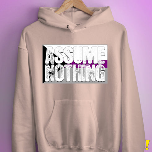 Assume Nothing Demisexual Pride Flag Hoodie - Light Pink