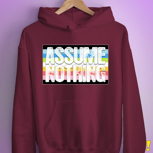 Assume Nothing Queer Pride Flag Hoodie - Maroon
