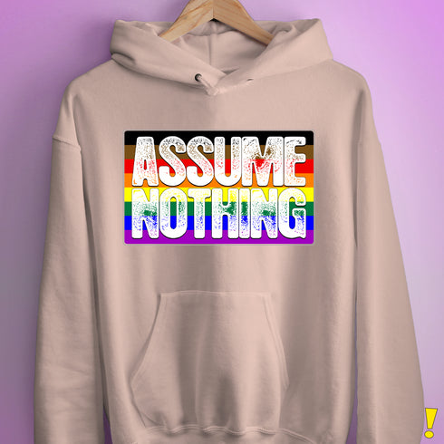 Assume Nothing Philly LGBTQ Gay Pride Flag Hoodie - Light Pink