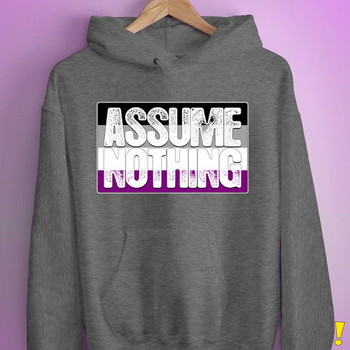 Assume Nothing Asexual Pride Flag Hoodie - Grey Heather