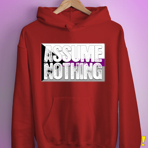 Assume Nothing Demisexual Pride Flag Hoodie - Red