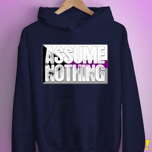Assume Nothing Demisexual Pride Flag Hoodie - Navy