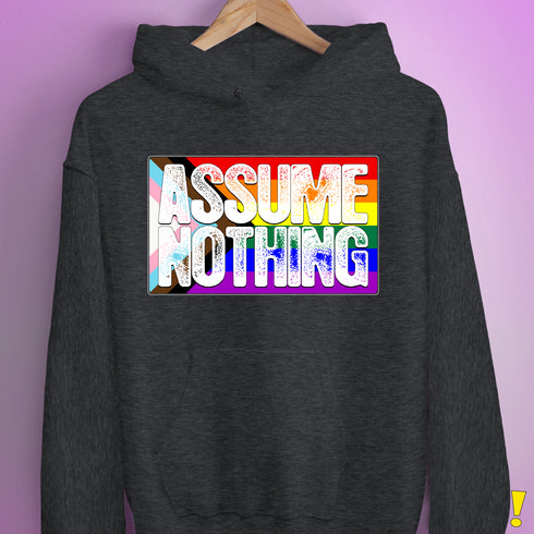 Assume Nothing LGBTQ Progress Pride Flag Hoodie - Dark Grey Heather