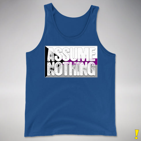 Assume Nothing Demisexual Pride Flag Premium Tank Top - Royal Blue