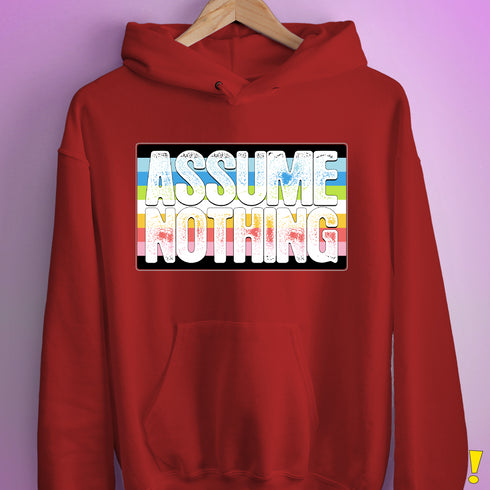 Assume Nothing Queer Pride Flag Hoodie - Red