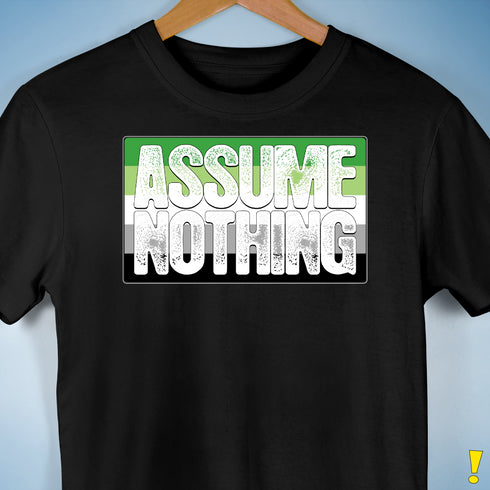 Assume Nothing Aromantic Pride Flag Premium Unisex T-Shirt - Black