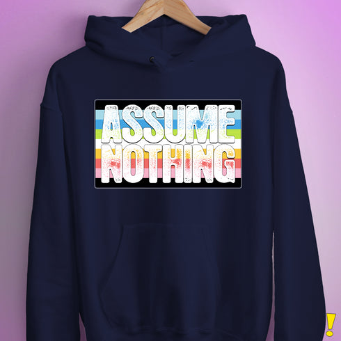 Assume Nothing Queer Pride Flag Hoodie - Navy