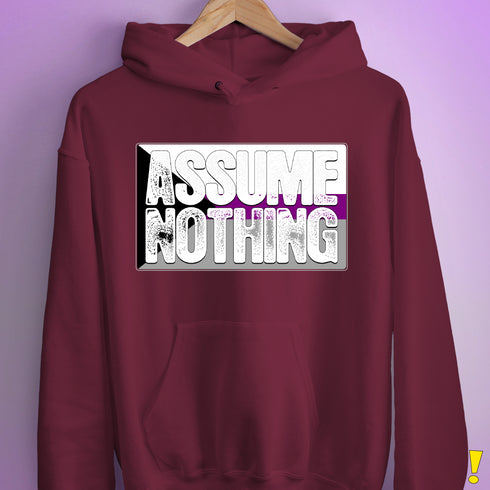 Assume Nothing Demisexual Pride Flag Hoodie - Maroon