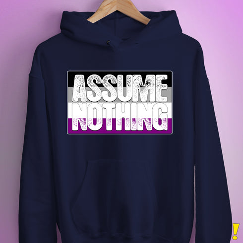 Assume Nothing Asexual Pride Flag Hoodie - Navy