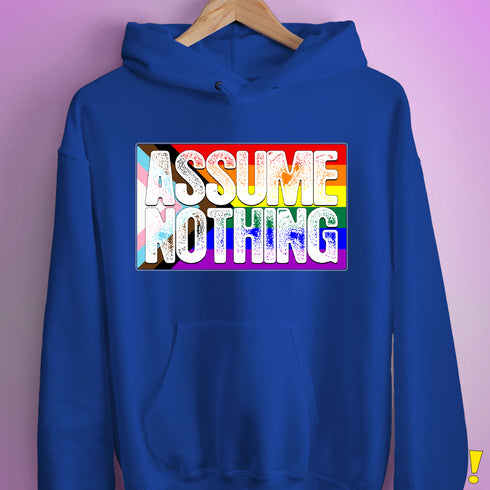 Assume Nothing LGBTQ Progress Pride Flag Hoodie - Royal Blue