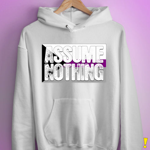 Assume Nothing Demisexual Pride Flag Hoodie - White