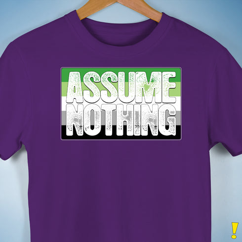 Assume Nothing Aromantic Pride Flag Premium Unisex T-Shirt - Purple