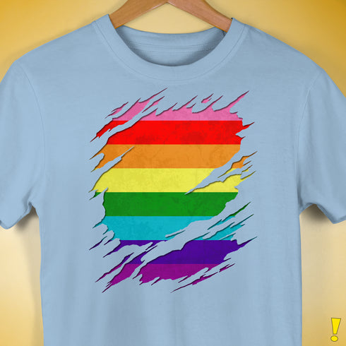 Original Gilbert Baker LGBTQ Gay Pride Flag Ripped Reveal Premium - Baby Blue