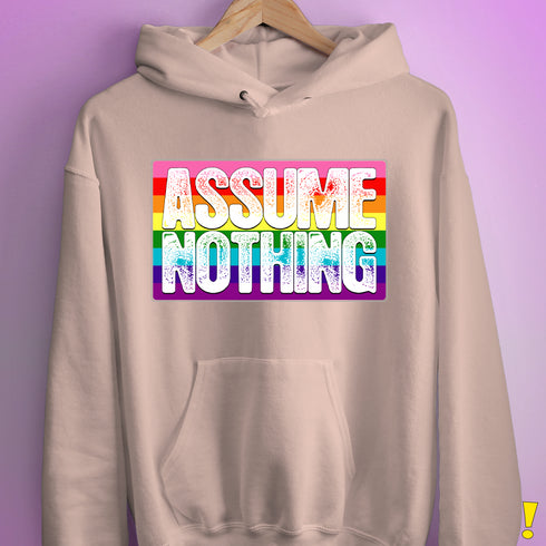Assume Nothing Gilbert Baker Original LGBTQ Gay Pride Flag Hoodie - Light Pink