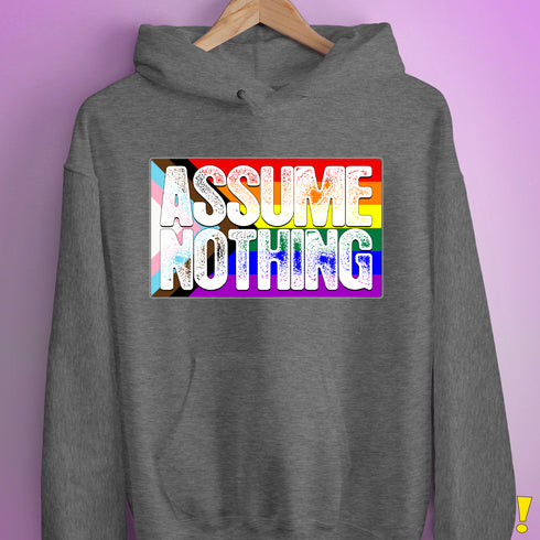Assume Nothing LGBTQ Progress Pride Flag Hoodie - Grey Heather