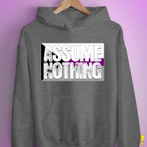 Assume Nothing Demisexual Pride Flag Hoodie - Grey Heather