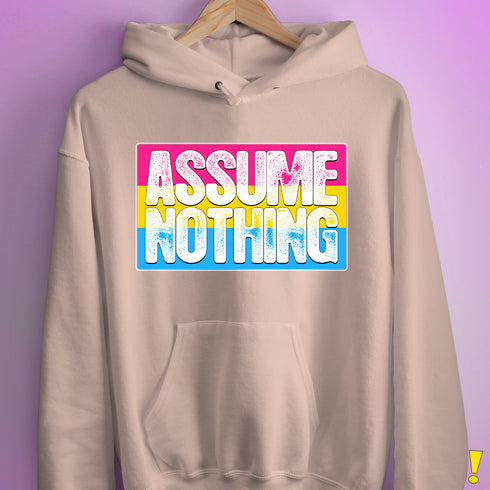 Assume Nothing Pansexual Pride Flag Hoodie - Light Pink