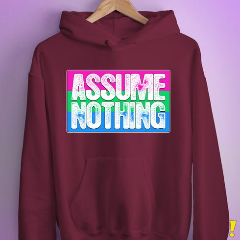 Assume Nothing Polysexual Pride Flag Hoodie - Maroon