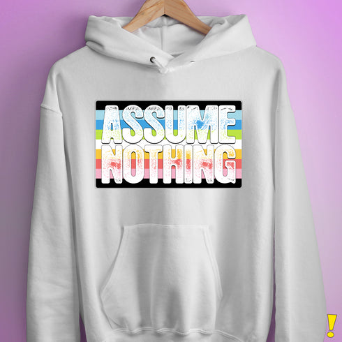 Assume Nothing Queer Pride Flag Hoodie - White