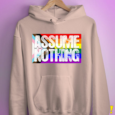 Assume Nothing LGBTQ Progress Pride Flag Hoodie - Light Pink