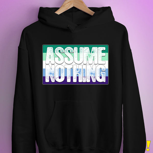 Assume Nothing Gay Male Pride Flag Hoodie - Black