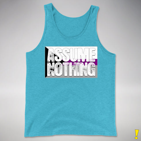 Assume Nothing Demisexual Pride Flag Premium Tank Top - Aqua Triblend