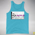 Assume Nothing Demisexual Pride Flag Premium Tank Top - Aqua Triblend