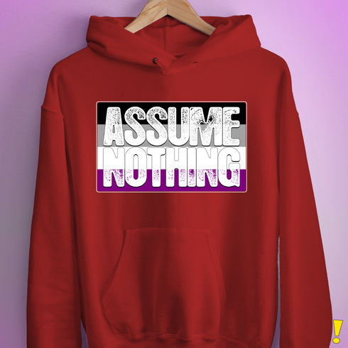 Assume Nothing Asexual Pride Flag Hoodie - Red