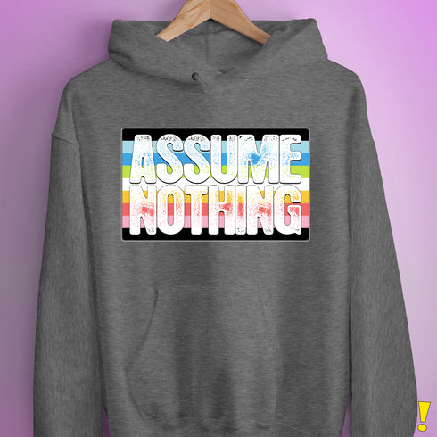 Assume Nothing Queer Pride Flag Hoodie - Grey Heather