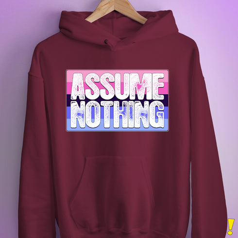 Assume Nothing Omnisexual Pride Flag Hoodie - Maroon
